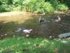 100_2797.JPG