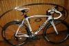 dogma_005.jpg