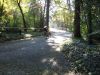 cross10.bmp