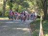 cross2.bmp