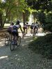 cross25.bmp